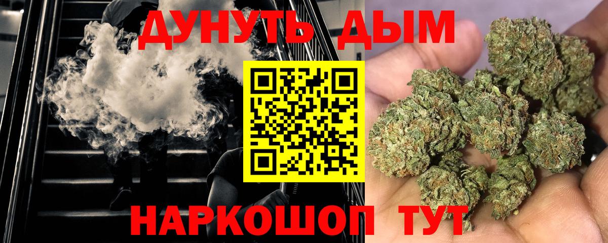 Конопля семена Ленинск-Кузнецкий